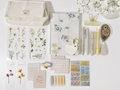 🌿  The Meadow Box