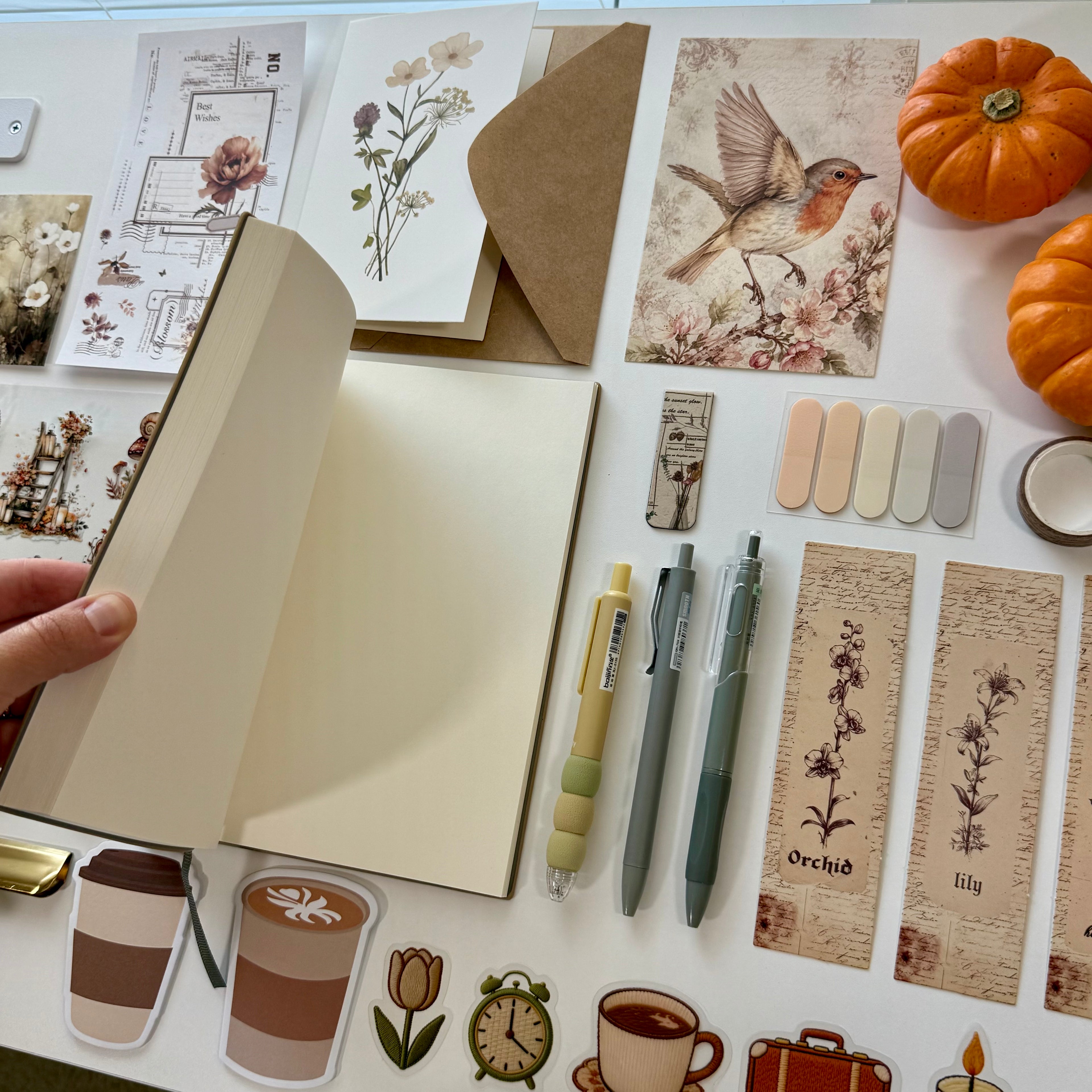 The Cozy Fall ♡ Brown